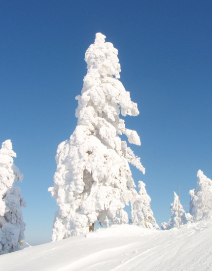 藏王纜車看樹冰→仙台城~伊達正宗騎馬像→仙台市區飯店
